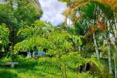 8aeb7af4-e232-49fc-a4ae-7d9d8e42f3e4