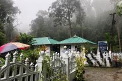 0ca01911-720e-4ebd-a32b-b7c491568882