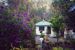 23586866-892c-4c43-baf0-a23af631261c