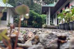 84586757-c316-44ab-b75d-768185e52365