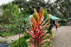 890ca52f-182c-46ea-8057-4d9b2e803b04