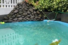 bcc5e8e2-ec40-42cf-b8a8-c893ec97dca6