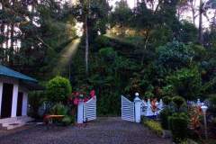 c253a358-56b4-4532-bcb2-b37d41e2646c