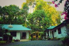 d6d2dec4-9174-42fe-8d8c-bc05ac1b11ec