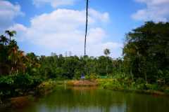 a49886a8-2446-426f-a7ae-67eddf72efc1